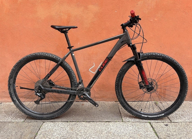 Picture 5 for Activity Bologna: Bike Rental 3