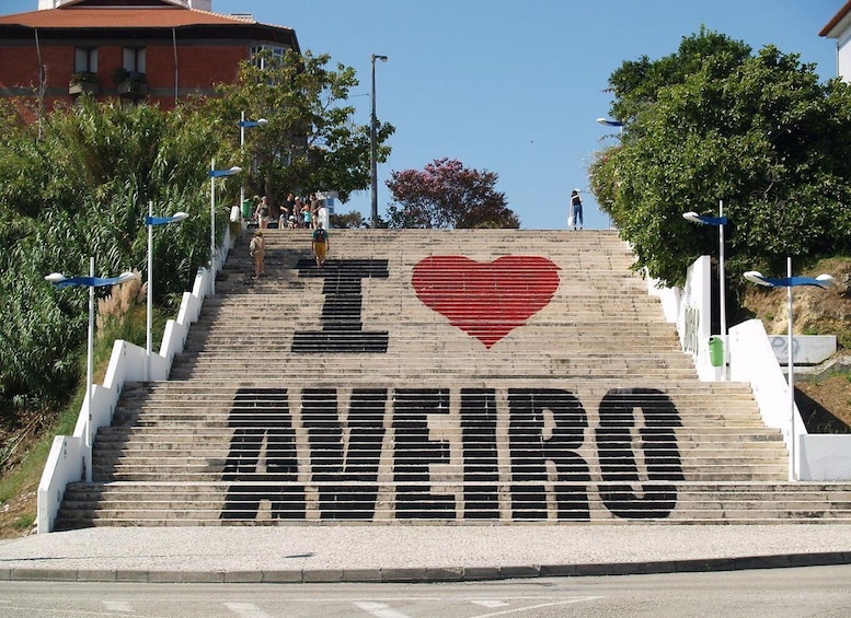 Picture 8 for Activity Panoramic Boat City Tour in Aveiro 2