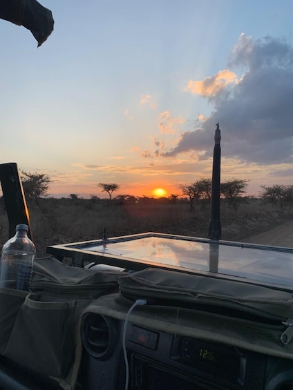 Picture 14 for Activity Nairobi national park: Sunrise and Sunset Tours 4