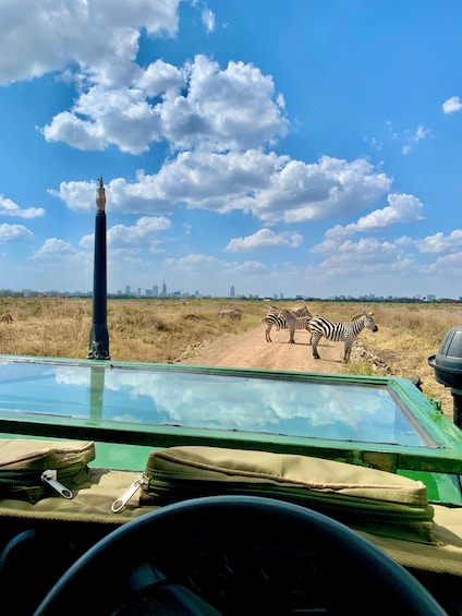 Nairobi national park: Sunrise and Sunset Tours 1
