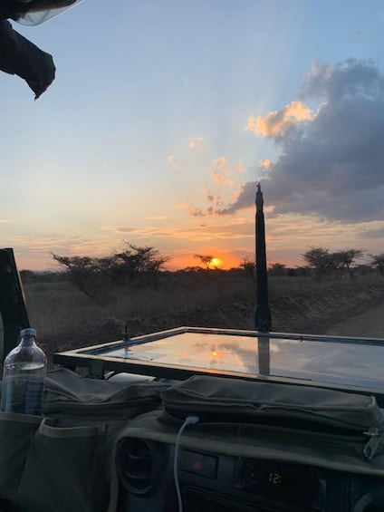 Picture 18 for Activity Nairobi national park: Sunrise and Sunset Tours 2