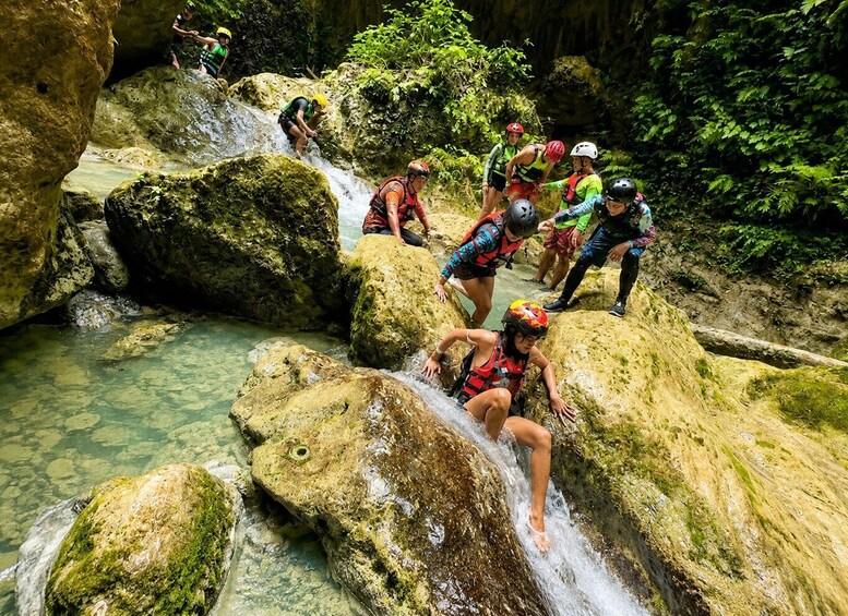 Picture 6 for Activity Cebu: Whale Shark, Sardine Run & Kawasan Canyoneering 2