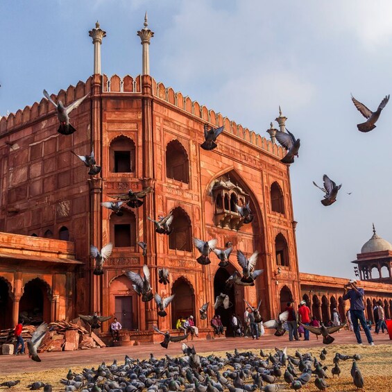 Picture 3 for Activity From Delhi: Private 1-Day Mathura Vrindavan Tour 4