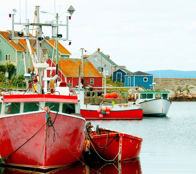 Picture 3 for Activity Discover Peggy's Cove: Private Journey from Halifax 3