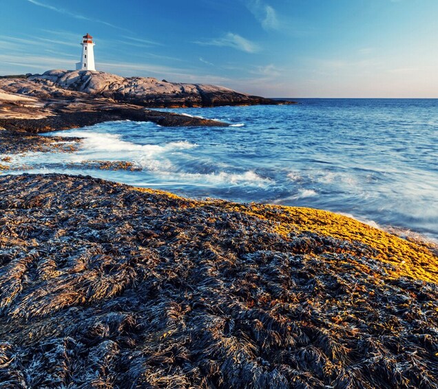 Discover Peggy's Cove: Private Journey from Halifax 1