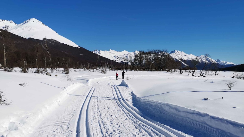 Picture 2 for Activity Ushuaia: Laguna Esmeralda Guided Trek with Box Lunch 3