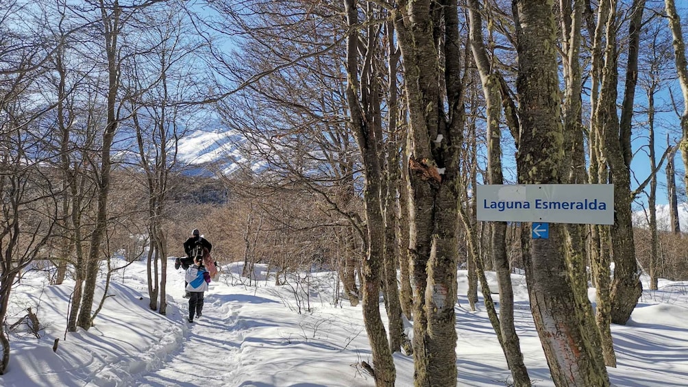 Picture 1 for Activity Ushuaia: Laguna Esmeralda Guided Trek with Box Lunch 2
