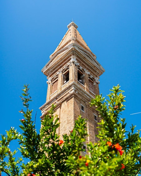 Picture 13 for Activity From Punta Sabbioni: Murano and Burano Islands Boat Tour 3
