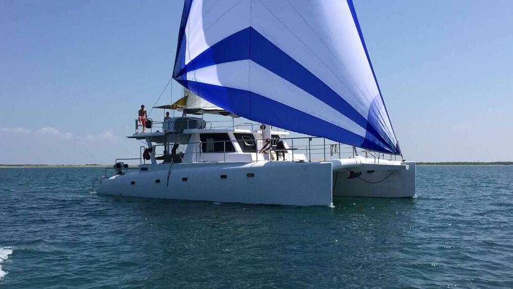 A white catamaran with blue sails on calm blue water. 2