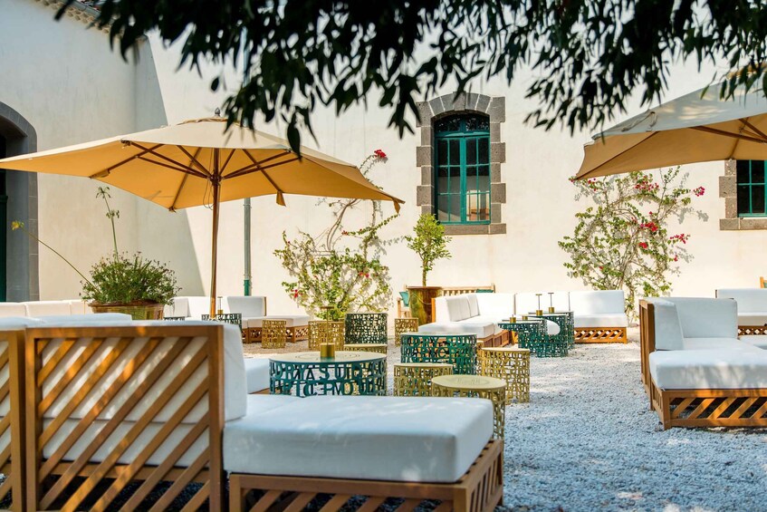 An outdoor seating area with wicker chairs and tables, surrounded by potted plants and umbrellas. 4