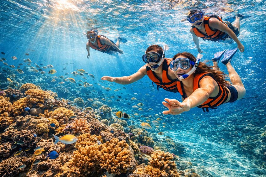 Three people snorkeling underwater with coral reefs and fish. 2