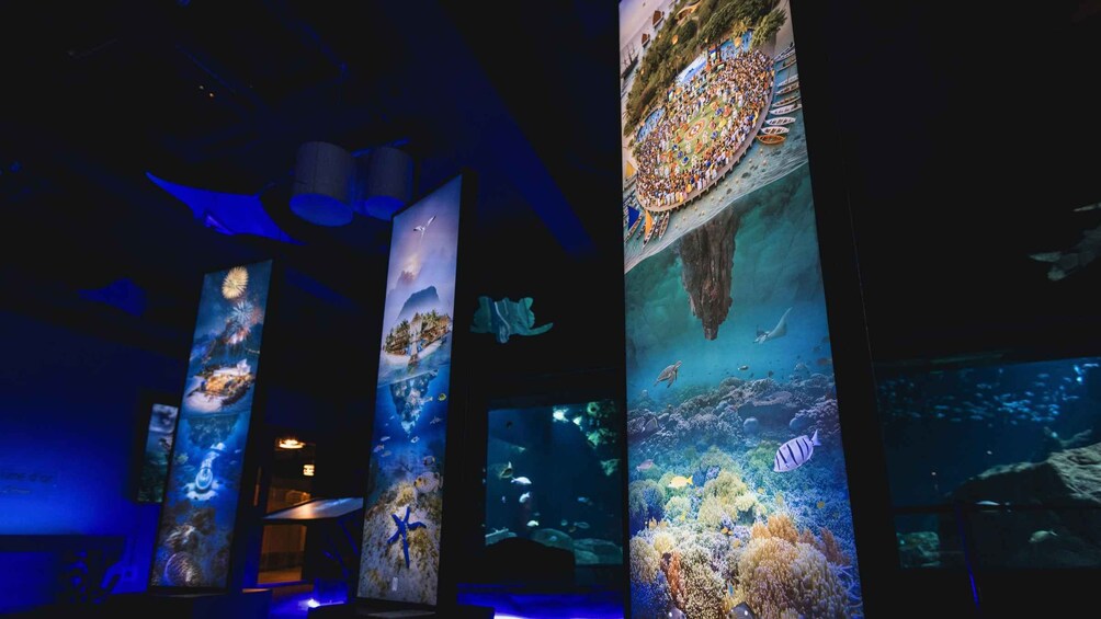 Picture 8 for Activity Port Louis: Odysseo Oceanarium Mauritius Ticket 2