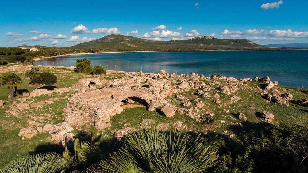 Picture 12 for Activity Alghero: Visit the Porto Conte Park Ecomuseum
