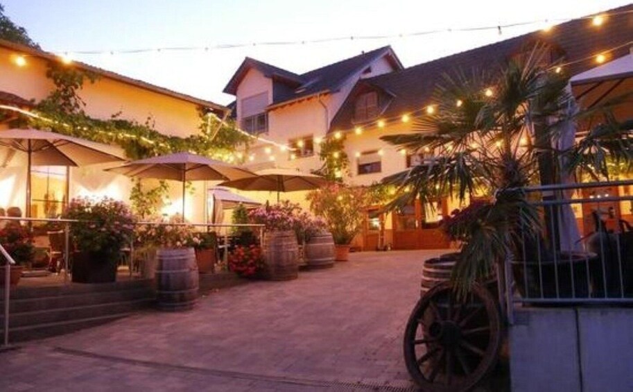 Picture 19 for Activity Koblenz: The Living Vineyard, Nature & Wine Enjoyment 2