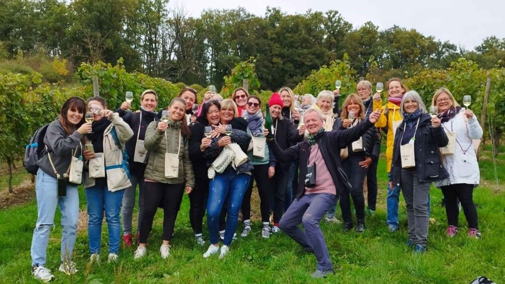 Koblenz: The Living Vineyard, Nature & Wine Enjoyment 1