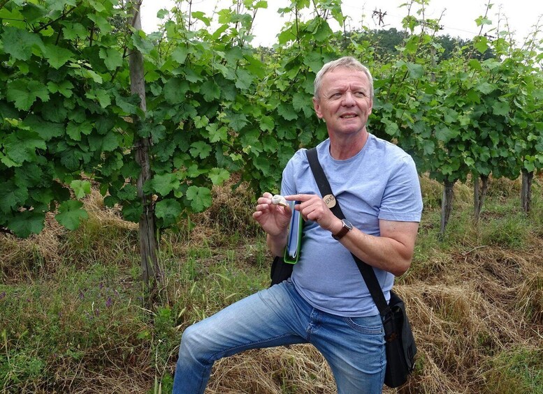 A man in a vineyard holding a bottle and a small object. 1