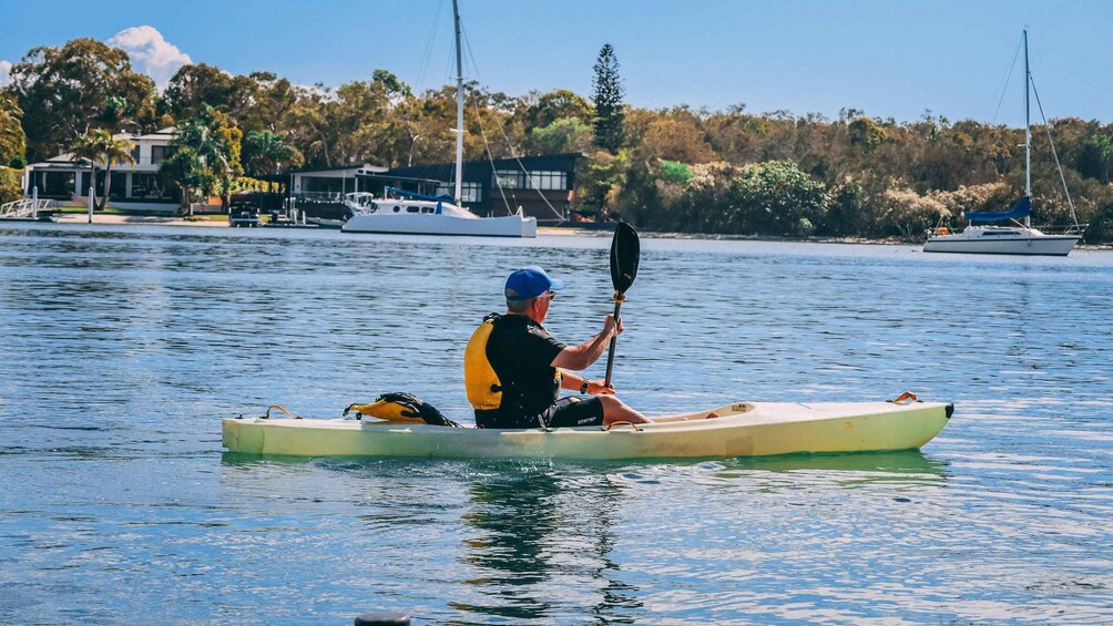Picture 13 for Activity Noosa Kayak Adventure: Mangroves, River & Mansions 2