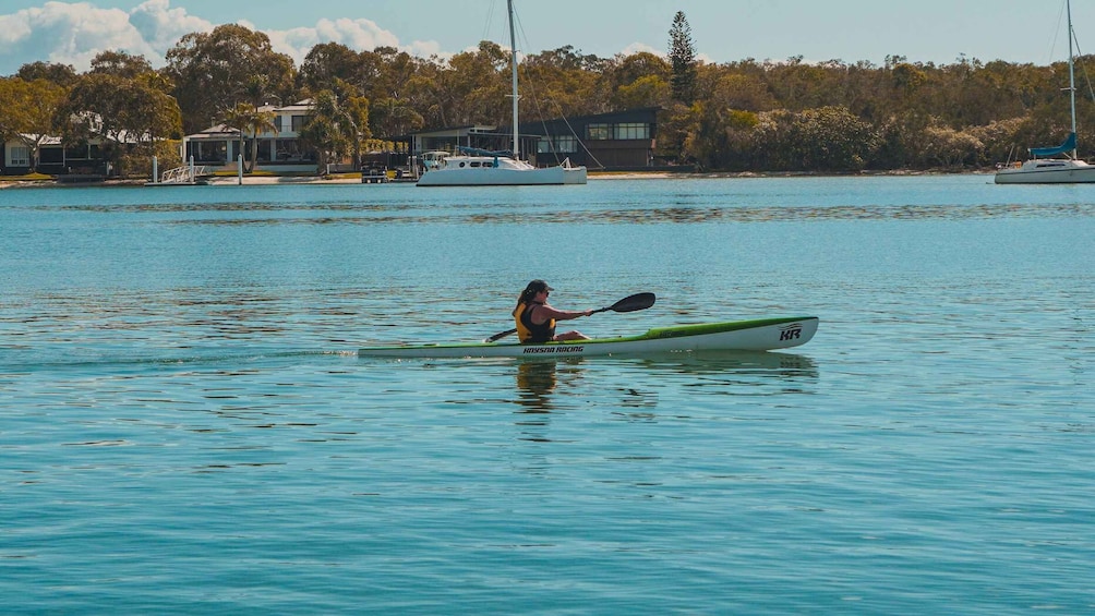 Picture 19 for Activity Noosa Kayak Adventure: Mangroves, River & Mansions 4