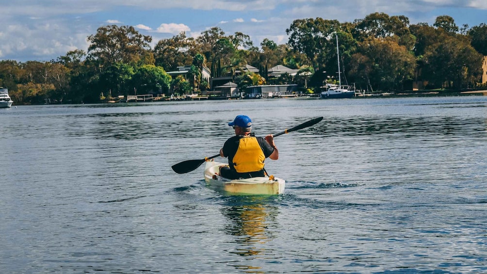 Picture 21 for Activity Noosa Kayak Adventure: Mangroves, River & Mansions 3