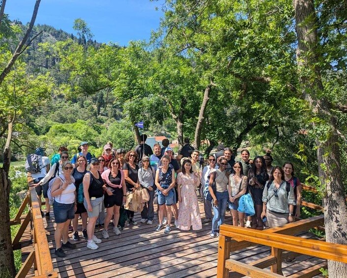 A group of people on a wooden bridge surrounded by lush greenery. 2
