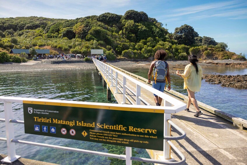 Picture 2 for Activity Auckland: Guided Snorkeling Tour and Island Exploration 3