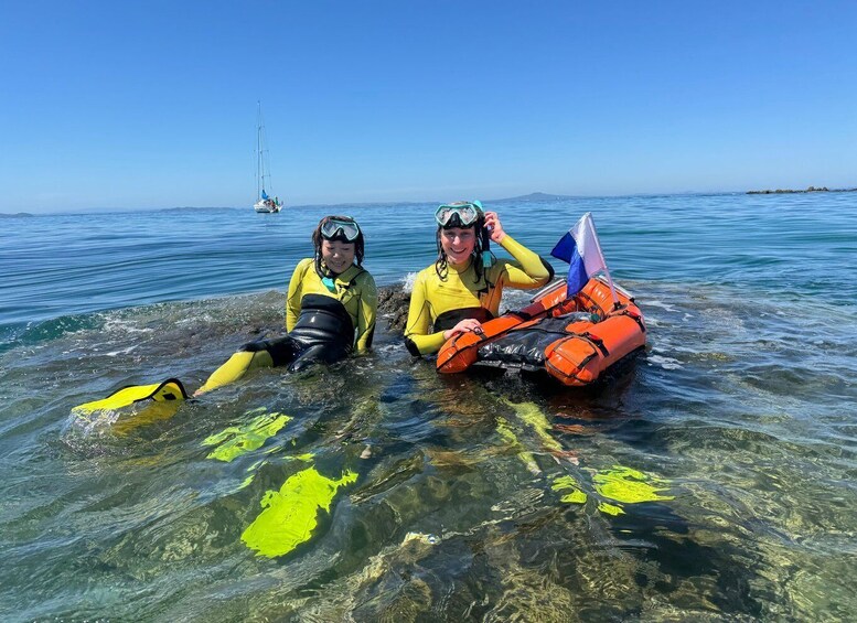 Picture 4 for Activity Auckland: Guided Snorkeling Tour and Island Exploration 5