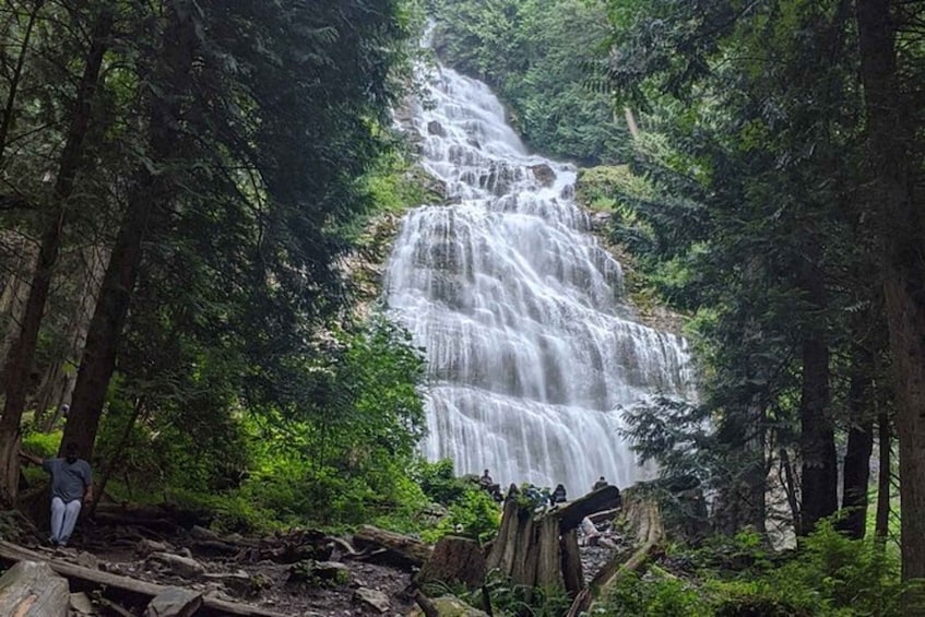 A waterfall surrounded by dense forest. 5