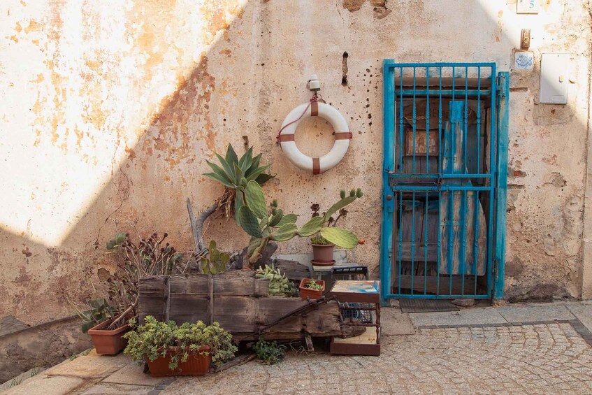 A rustic wall with a blue gate, potted plants, and a life ring. 1