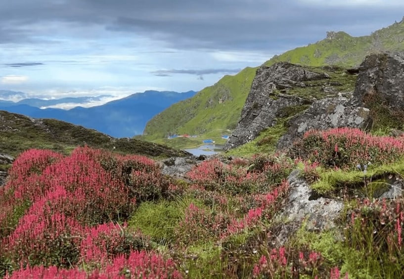 A mountainous landscape with pink flowering plants, rocky terrain, and a distant lake. 3