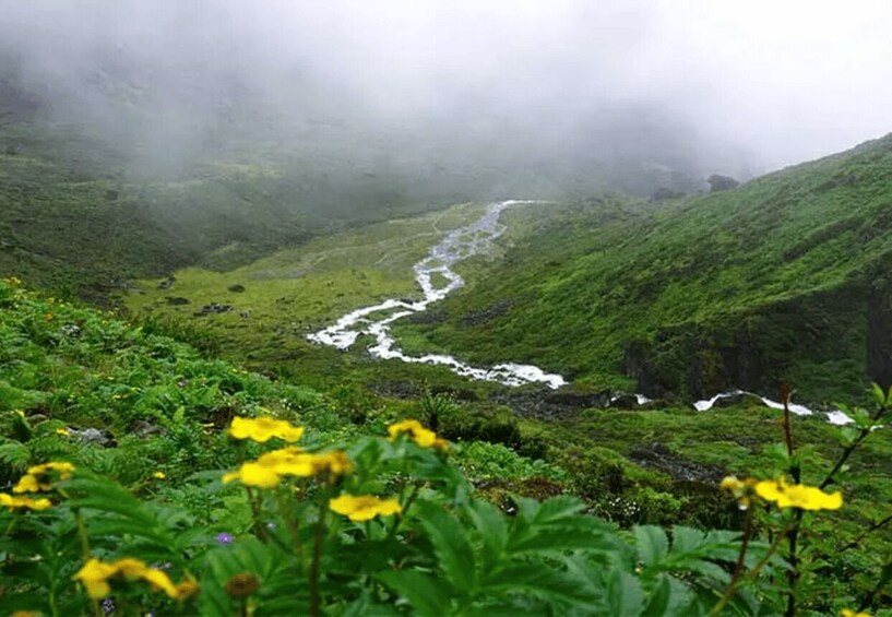 A river winding through a lush valley with green hills and yellow flowers in the foreground. 4