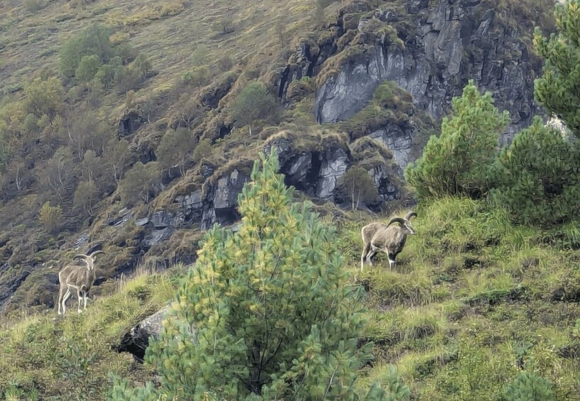 A mountainous landscape with rocky cliffs and sparse vegetation. 2