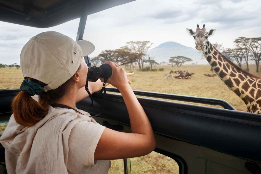 Picture 8 for Activity Full Day Private Kruger Safari from Hoedspruit 1