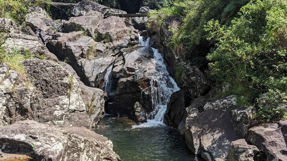 A waterfall cascading over rocks into a pool surrounded by dense greenery. 2