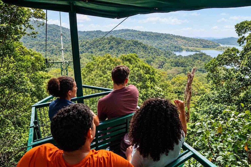 A group of people on a green observation platform overlooking a lush landscape with a lake. 1