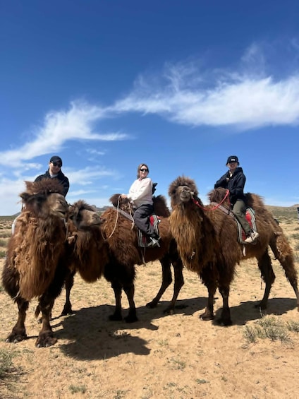 Picture 7 for Activity From Ulaanbaatar: Mini Gobi - Terelj tour 2