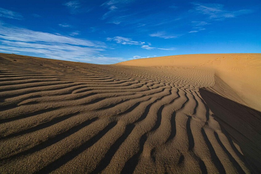 Picture 8 for Activity From Ulaanbaatar: Mini Gobi - Terelj tour 4