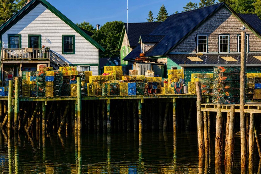 Picture 11 for Activity Bar Harbor: Acadia National Park Private Tour with Lunch 2