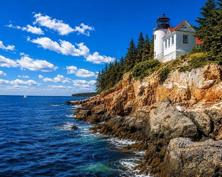 Picture 23 for Activity Bar Harbor: Acadia National Park Private Tour with Lunch 1