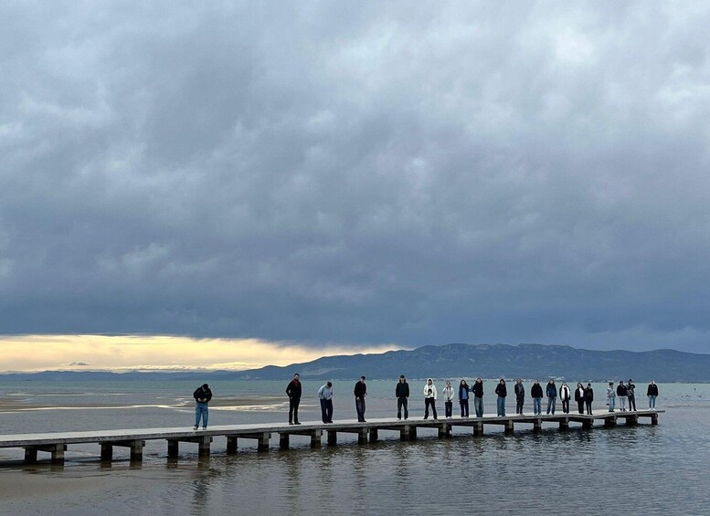 Picture 6 for Activity Flamingo-Birdwatching in the Ebro Delta at Sunset 3