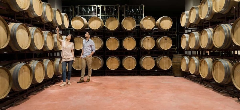 Picture 2 for Activity Llucmajor: Bodegas Bordoy Wine Tour 2