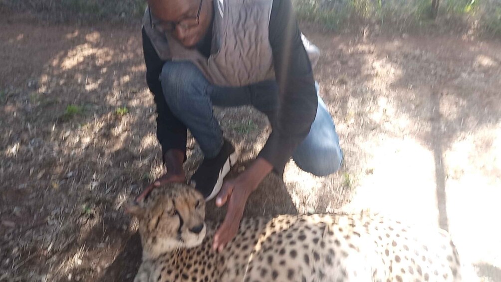 A person crouching next to a cheetah on a dirt ground. 5