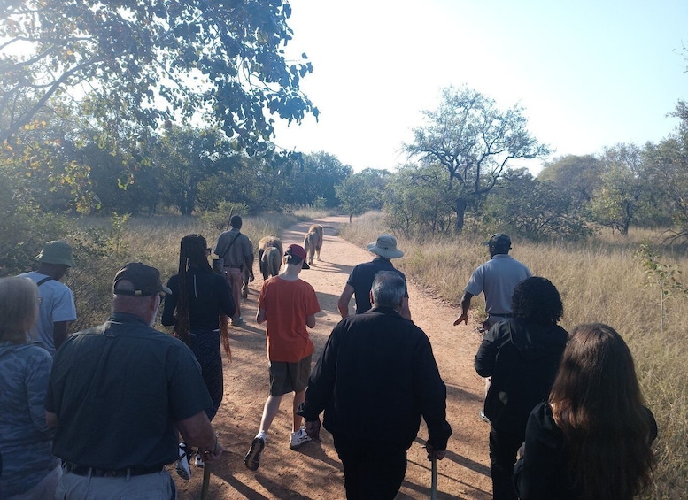A group of people walking on a dirt path in a wooded area. 1