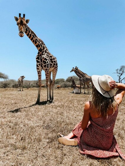 Mombasa: Guided Nature Walk Amongst Giraffes 1