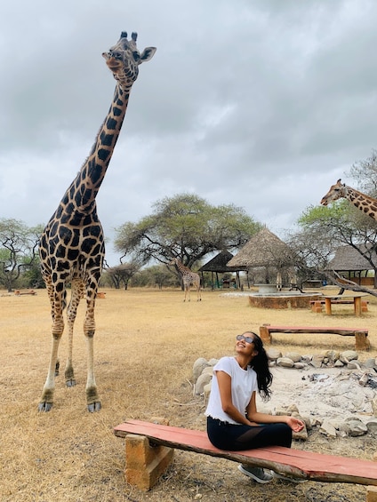 Picture 6 for Activity Mombasa: Guided Nature Walk Amongst Giraffes 5