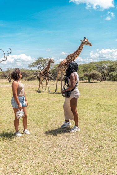 Picture 11 for Activity Mombasa: Guided Nature Walk Amongst Giraffes 2