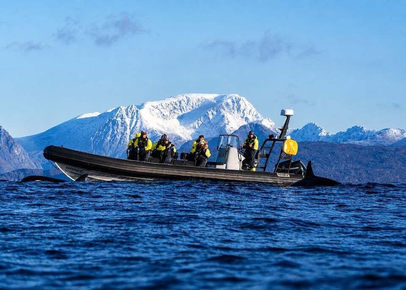 A boat with people in yellow jackets on a body of water with snow-capped mountains in the background. 1