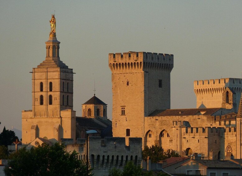 Avignon: Private Guided Walking Tour with Hotel Pickup 1