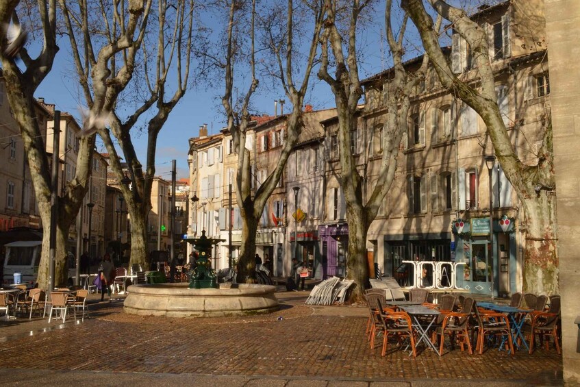 Picture 5 for Activity Avignon: Private Guided Walking Tour with Hotel Pickup 3