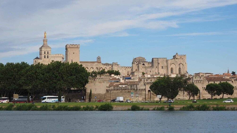 Picture 6 for Activity Avignon: Private Guided Walking Tour with Hotel Pickup 5