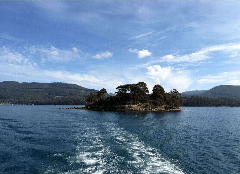A small island with dense trees surrounded by a calm lake and distant mountains under a partly cloudy sky. 5